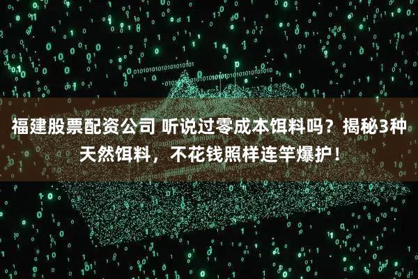 福建股票配资公司 听说过零成本饵料吗？揭秘3种天然饵料，不花钱照样连竿爆护！